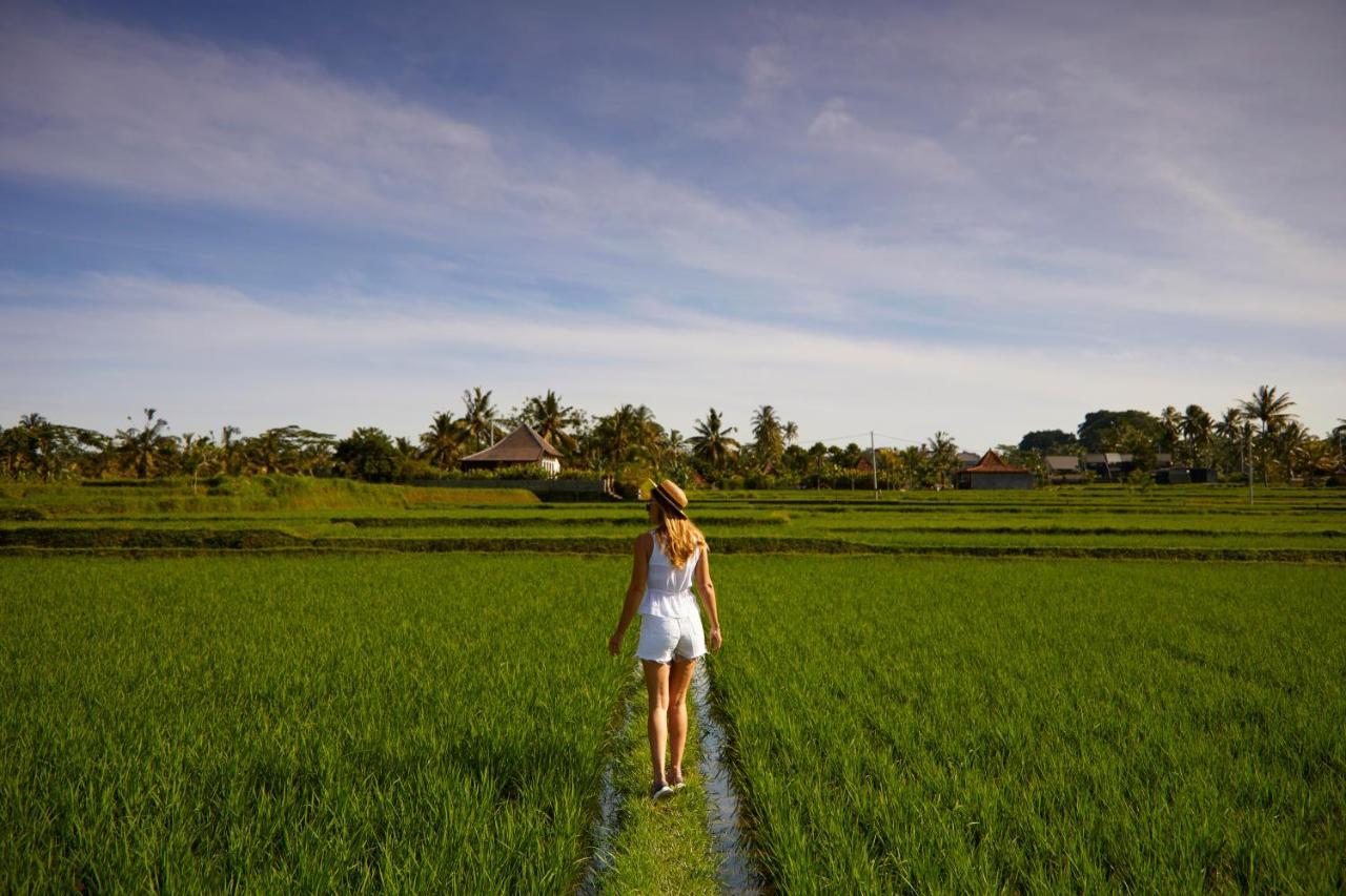 Element Bali Ubud Extérieur photo